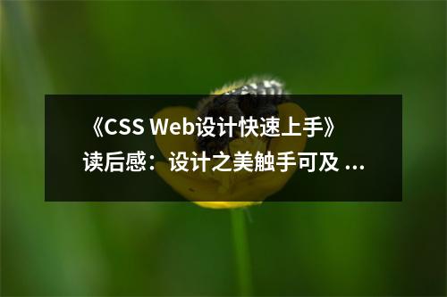 《CSS Web設(shè)計快速上手》讀后感：設(shè)計之美觸手可及 (800字)