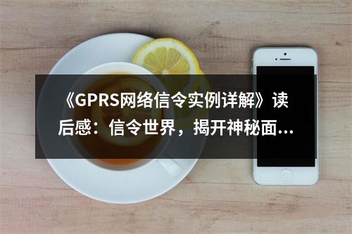《GPRS網(wǎng)絡(luò)信令實例詳解》讀后感：信令世界，揭開神秘面紗 (750字)