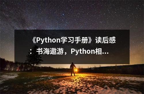 《Python學(xué)習(xí)手冊》讀后感：書海遨游，Python相伴，收獲滿滿 (650字)