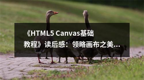 《HTML5 Canvas基礎(chǔ)教程》讀后感：領(lǐng)略畫布之美，創(chuàng)意無限綻放 (700字)