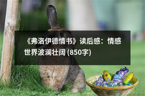 《弗洛伊德情書》讀后感：情感世界波瀾壯闊 (850字)