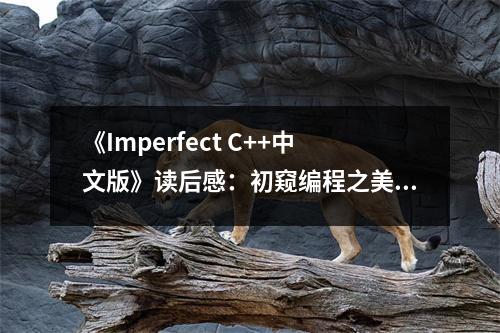 《Imperfect C++中文版》讀后感：初窺編程之美 (800字)