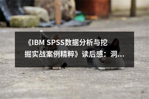 《IBM SPSS數(shù)據(jù)分析與挖掘?qū)崙?zhàn)案例精粹》讀后感：洞悉數(shù)據(jù)奧秘，開啟智慧之門 (750字)