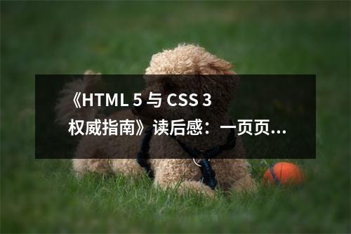 《HTML 5 與 CSS 3 權(quán)威指南》讀后感：一頁頁編織未來的網(wǎng) (750字)