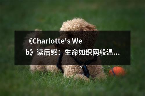 《Charlotte's Web》讀后感：生命如織網(wǎng)般溫暖而美好 (950字)