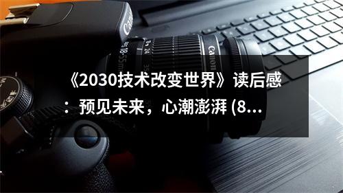 《2030技術(shù)改變世界》讀后感：預(yù)見未來(lái)，心潮澎湃 (800字)