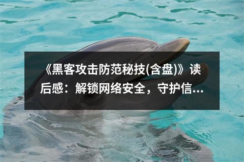 《黑客攻擊防范秘技(含盤)》讀后感：解鎖網(wǎng)絡安全，守護信息安全 (850字)