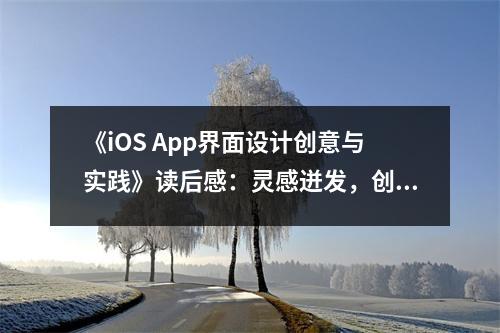 《iOS App界面設計創(chuàng)意與實踐》讀后感：靈感迸發(fā)，創(chuàng)意無限 (800字)