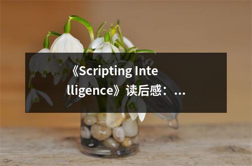 《Scripting Intelligence》讀后感：探尋智慧編程之美 (650字)