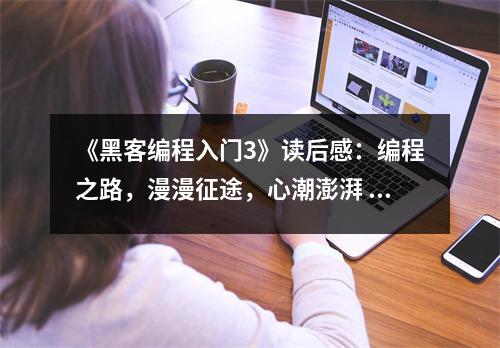 《黑客編程入門3》讀后感：編程之路，漫漫征途，心潮澎湃 (700字)