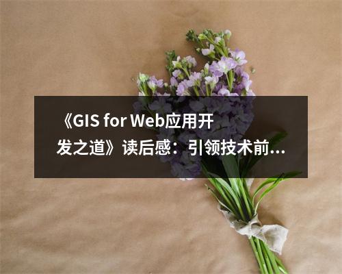 《GIS for Web應(yīng)用開發(fā)之道》讀后感：引領(lǐng)技術(shù)前沿，開啟無(wú)限可能 (750字)