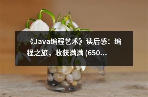 《Java編程藝術(shù)》讀后感：編程之旅，收獲滿滿 (650字)