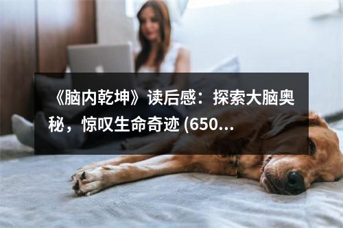 《腦內(nèi)乾坤》讀后感：探索大腦奧秘，驚嘆生命奇跡 (650字)