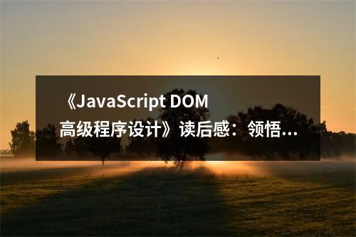 《JavaScript DOM高級(jí)程序設(shè)計(jì)》讀后感：領(lǐng)悟編程之美 (800字)