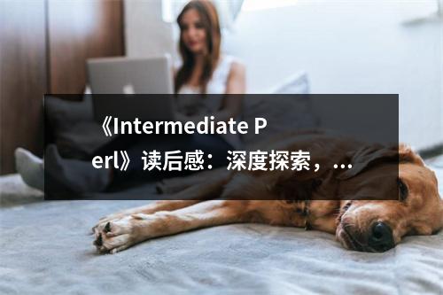 《Intermediate Perl》讀后感：深度探索，樂(lè)在其中 (700字)