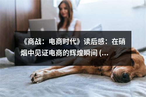 《商戰(zhàn)：電商時(shí)代》讀后感：在硝煙中見(jiàn)證電商的輝煌瞬間 (950字)