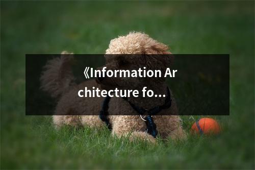 《Information Architecture for Designers》讀后感：設(shè)計(jì)之路，架構(gòu)之光閃耀 (750字)