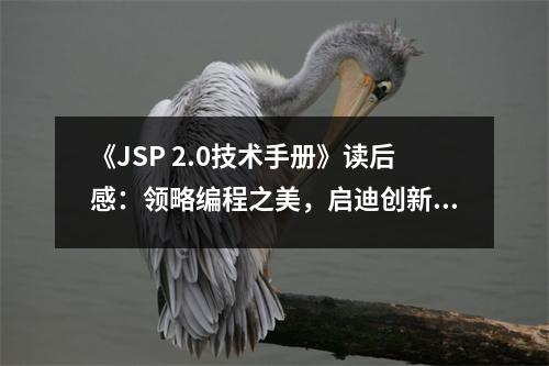 《JSP 2.0技術(shù)手冊(cè)》讀后感：領(lǐng)略編程之美，啟迪創(chuàng)新思維 (700字)