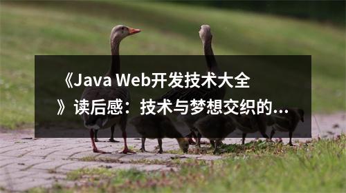 《Java Web開發(fā)技術(shù)大全》讀后感：技術(shù)與夢想交織的篇章 (750字)