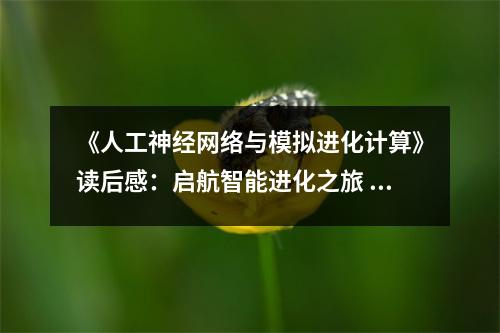 《人工神經(jīng)網(wǎng)絡(luò)與模擬進(jìn)化計(jì)算》讀后感：啟航智能進(jìn)化之旅 (1000字)