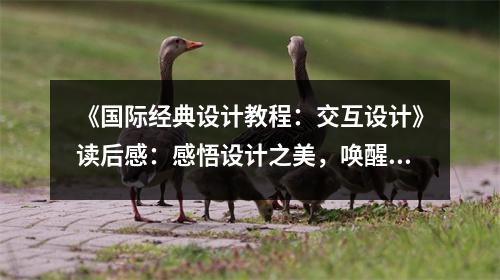 《國際經(jīng)典設(shè)計教程：交互設(shè)計》讀后感：感悟設(shè)計之美，喚醒創(chuàng)新靈感 (1300字)