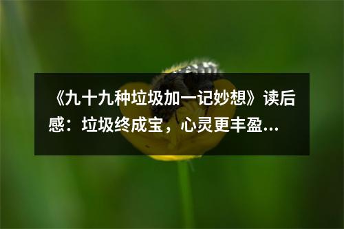 《九十九種垃圾加一記妙想》讀后感：垃圾終成寶，心靈更豐盈 (850字)