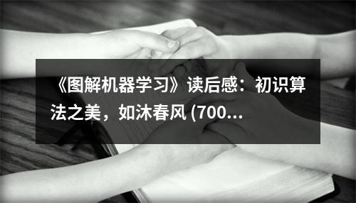 《圖解機(jī)器學(xué)習(xí)》讀后感：初識算法之美，如沐春風(fēng) (700字)