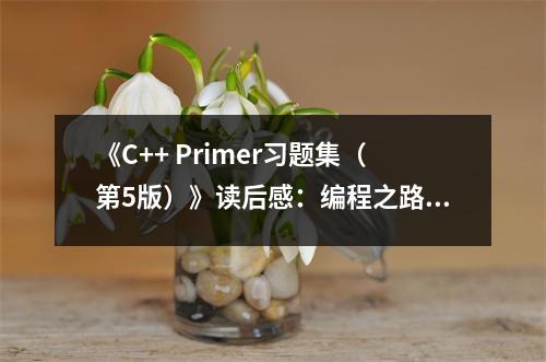 《C++ Primer習(xí)題集（第5版）》讀后感：編程之路，點(diǎn)亮智慧之光 (750字)