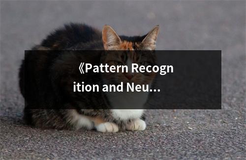《Pattern Recognition and Neural Networks》讀后感：探索神經(jīng)網(wǎng)絡(luò)奧秘，啟迪智慧之光 (900字)