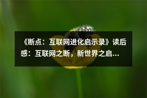 《斷點(diǎn)：互聯(lián)網(wǎng)進(jìn)化啟示錄》讀后感：互聯(lián)網(wǎng)之?dāng)啵率澜缰畣?(1050字)