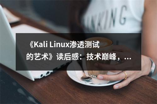 《Kali Linux滲透測(cè)試的藝術(shù)》讀后感：技術(shù)巔峰，安全之翼展翅翱翔 (800字)