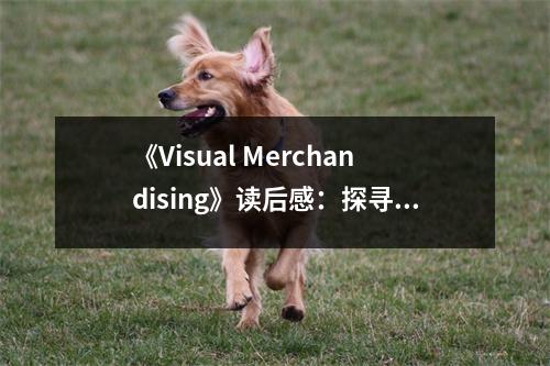 《Visual Merchandising》讀后感：探尋視覺(jué)營(yíng)銷的魅力 (800字)