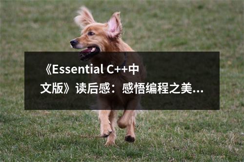 《Essential C++中文版》讀后感：感悟編程之美，點(diǎn)亮智慧之光 (950字)