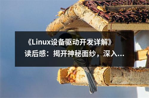 《Linux設(shè)備驅(qū)動(dòng)開(kāi)發(fā)詳解》讀后感：揭開(kāi)神秘面紗，深入內(nèi)核世界 (850字)