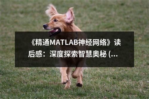 《精通MATLAB神經(jīng)網(wǎng)絡》讀后感：深度探索智慧奧秘 (750字)