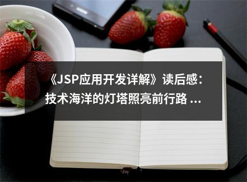 《JSP應用開發(fā)詳解》讀后感：技術(shù)海洋的燈塔照亮前行路 (900字)