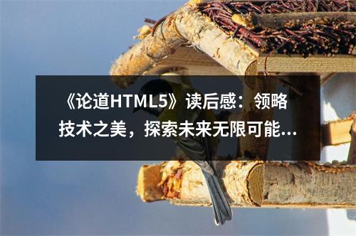 《論道HTML5》讀后感：領(lǐng)略技術(shù)之美，探索未來無限可能 (700字)