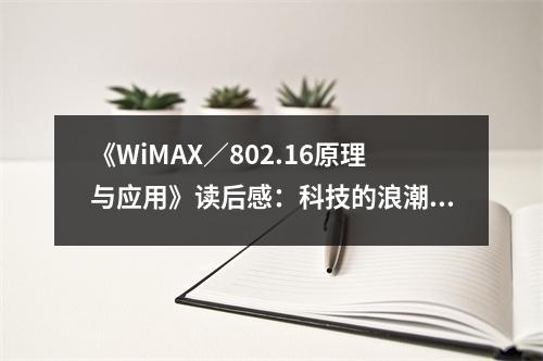 《WiMAX／802.16原理與應(yīng)用》讀后感：科技的浪潮涌動(dòng)，未來無限可能 (750字)