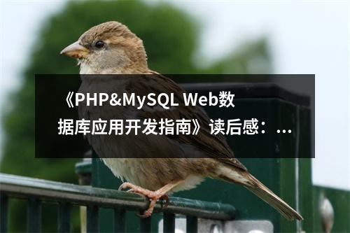 《PHP&MySQL Web數(shù)據(jù)庫應(yīng)用開發(fā)指南》讀后感：一窺編程之美 (750字)