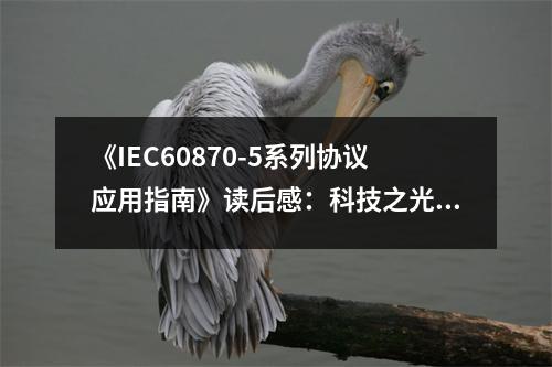 《IEC60870-5系列協(xié)議應(yīng)用指南》讀后感：科技之光，照亮未來之路 (700字)