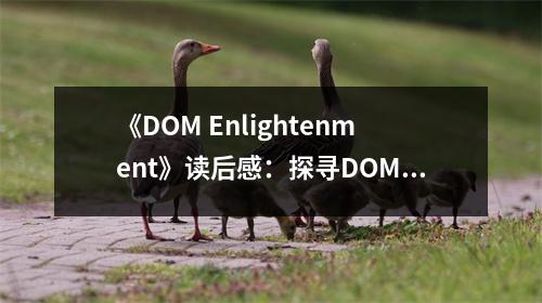 《DOM Enlightenment》讀后感：探尋DOM之美，開(kāi)啟編程新視界 (750字)