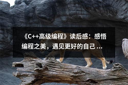 《C++高級(jí)編程》讀后感：感悟編程之美，遇見(jiàn)更好的自己 (800字)