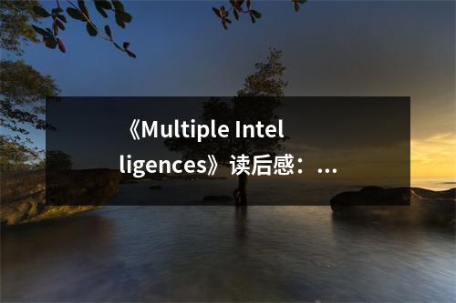 《Multiple Intelligences》讀后感：多元智能，綻放人生光彩 (1100字)