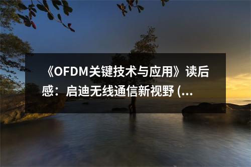 《OFDM關(guān)鍵技術(shù)與應(yīng)用》讀后感：?jiǎn)⒌蠠o(wú)線通信新視野 (850字)