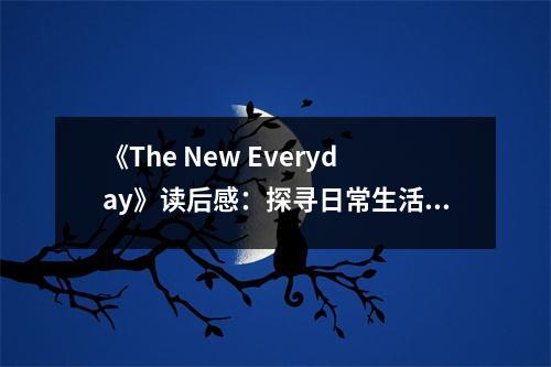 《The New Everyday》讀后感：探尋日常生活中的新可能 (750字)
