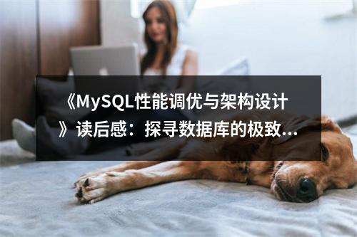 《MySQL性能調(diào)優(yōu)與架構(gòu)設(shè)計(jì)》讀后感：探尋數(shù)據(jù)庫的極致之美 (950字)
