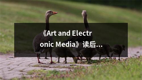 《Art and Electronic Media》讀后感：感知未來藝術(shù)的無限魅力 (900字)