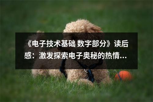 《電子技術(shù)基礎(chǔ) 數(shù)字部分》讀后感：激發(fā)探索電子奧秘的熱情 (850字)