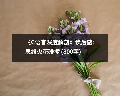 《C語言深度解剖》讀后感：思維火花碰撞 (800字)