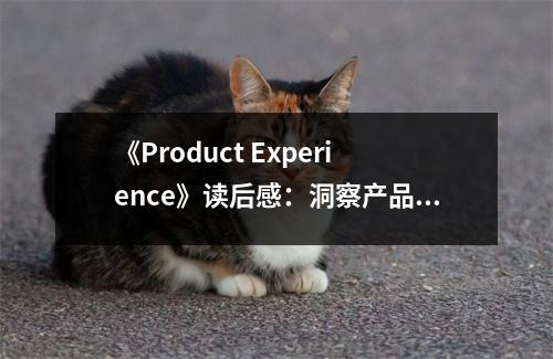 《Product Experience》讀后感：洞察產(chǎn)品之美，心靈觸動(dòng)的瞬間 (850字)
